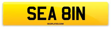 SEA 81N