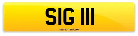 SIG 111
