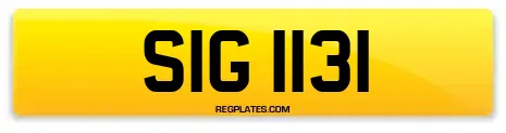 SIG 1131