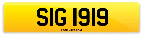 SIG 1919