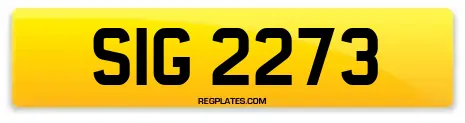 SIG 2273