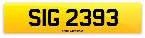 SIG 2393