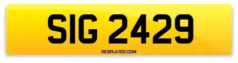 SIG 2429