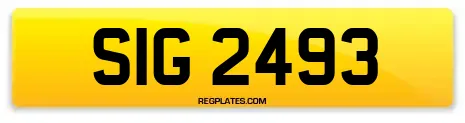 SIG 2493