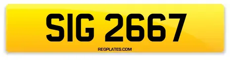 SIG 2667
