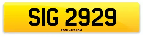 SIG 2929
