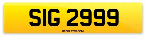 SIG 2999