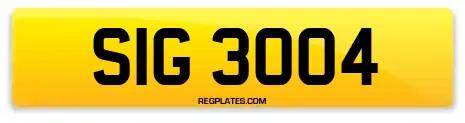 SIG 3004