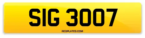 SIG 3007