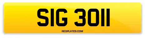 SIG 3011