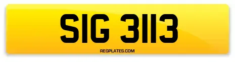 SIG 3113
