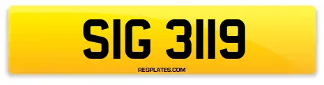 SIG 3119