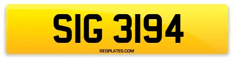 SIG 3194