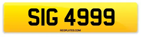 SIG 4999