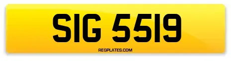 SIG 5519
