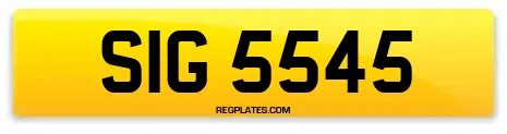 SIG 5545