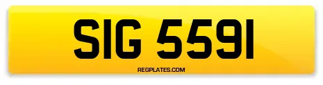 SIG 5591