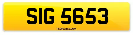 SIG 5653