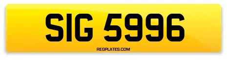SIG 5996