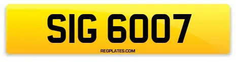 SIG 6007