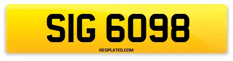 SIG 6098