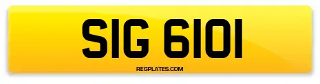 SIG 6101