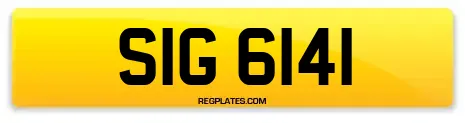 SIG 6141