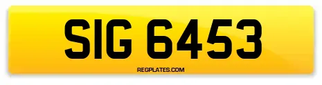 SIG 6453