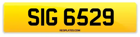 SIG 6529