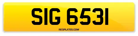 SIG 6531