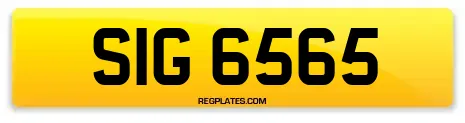 SIG 6565