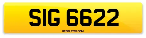 SIG 6622