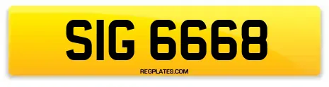 SIG 6668