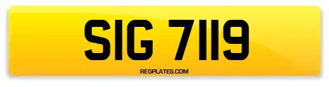 SIG 7119