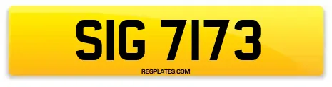 SIG 7173