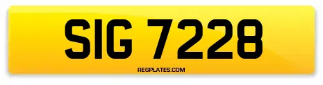 SIG 7228