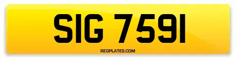 SIG 7591