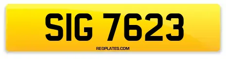 SIG 7623