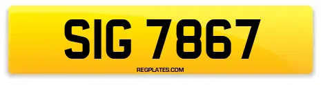 SIG 7867