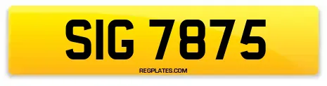SIG 7875