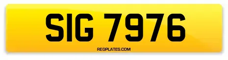 SIG 7976