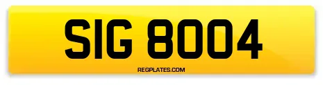 SIG 8004