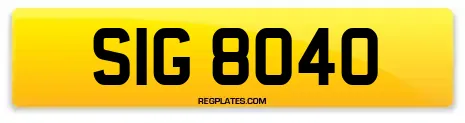 SIG 8040