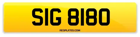 SIG 8180