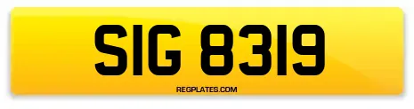 SIG 8319