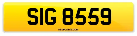 SIG 8559