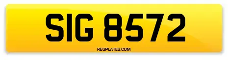 SIG 8572