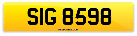 SIG 8598