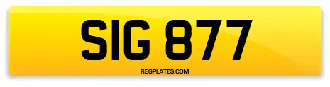 SIG 877