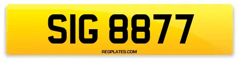 SIG 8877